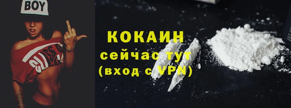 твердый Аркадак