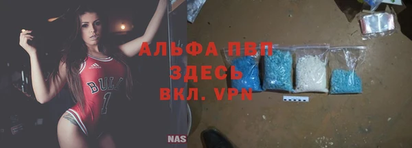 твердый Аркадак