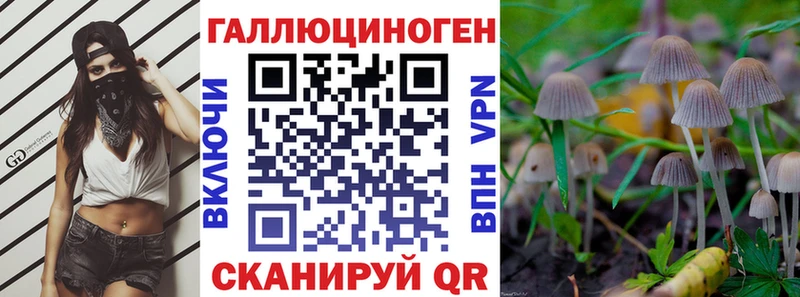 Галлюциногенные грибы Psilocybe  MEGA онион  Кирово-Чепецк 